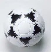 哈珀与卡斯,尔赛前相互,夸赞,PM体育官方网站,PM体育app下载平台,PM体育平台首页,PM体育官网入口