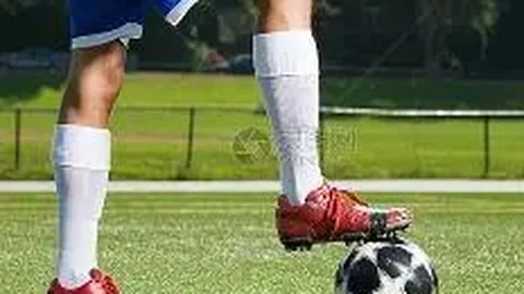 PM体育平台首页 产品 102103 x91